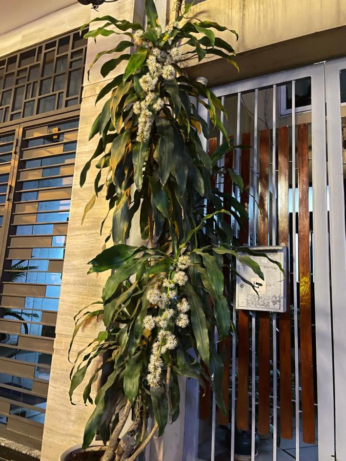 May Residence-800M From Opera House Hanoi Buitenkant foto