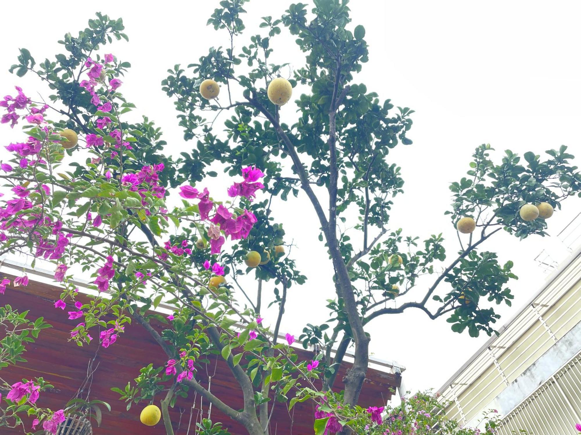 May Residence-800M From Opera House Hanoi Buitenkant foto
